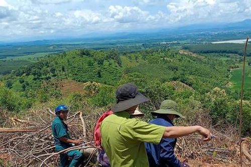 Khởi tố vụ án khai thác trái phép đất rừng phòng hộ trồng cao su ở Kon Tum