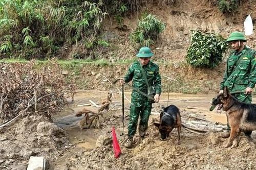 Chó nghiệp vụ Biên phòng xác định được 8 vị trí có nguồn hơi để tìm kiếm người mất tích