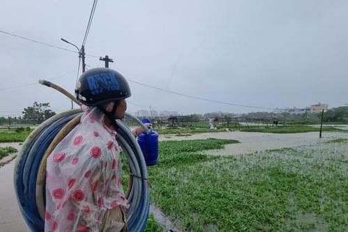 Nước bủa vây vùng rau lớn nhất Đà Nẵng sau mưa kéo dài, 'bà con không kịp trở tay'