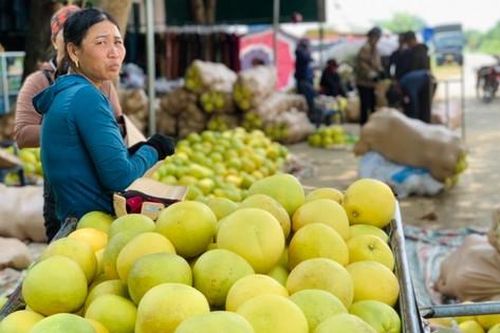 Độc đáo phiên chợ 'đệ nhất danh quả' nức tiếng Hà Tĩnh