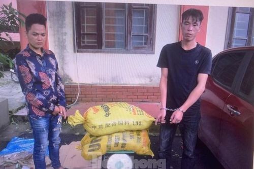 Khởi tố hai đối tượng lợi dụng mưa bão để trộm cắp