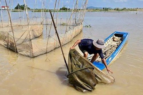 Đồng Tháp: Thông tin để người dân chủ động ứng phó thiên tai