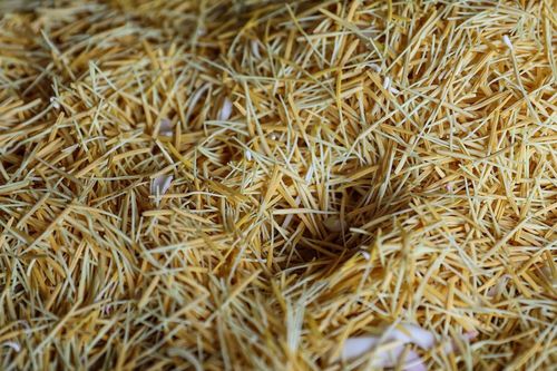 'Điểm tựa' cho người nghèo Hưng Nguyên vươn lên trong cuộc sống