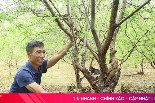 Người dân các địa bàn phía Nam Hà Tĩnh nhanh tay ứng phó với mưa bão