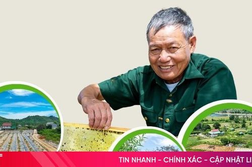 'Có sức người sỏi đá cũng thành cơm'...