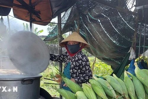 Những cách làm hay giúp đồng bào Khmer thoát nghèo bền vững tại Bạc Liêu