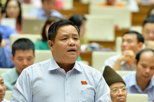 Long An: Sẽ thay thế các cầu sắt lỗi thời bằng cầu bê tông
