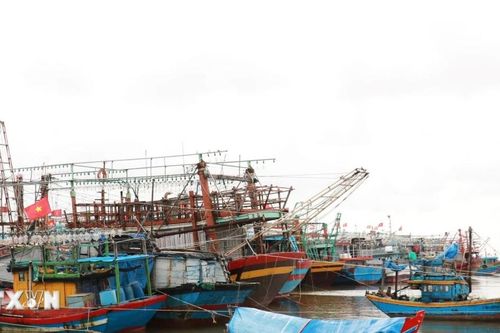 Nghệ An: Ứng phó với áp thấp nhiệt đới có khả năng mạnh lên thành bão