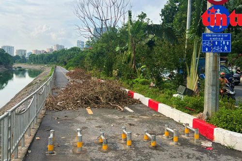 Đường dành riêng cho người đi bộ, xe đạp ở Hà Nội ngập rác cây xanh