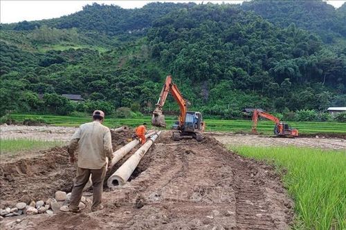 Sơn La: Cấp điện trở lại cho trên 700 khách hàng bị ảnh hưởng bởi mưa lũ