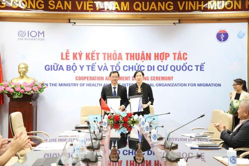 Việt Nam đẩy mạnh hợp tác quốc tế cải thiện dịch vụ y tế cho lao động di cư