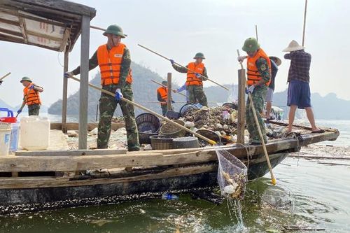 Thu gom gần 300m3 rác trên vịnh Hạ Long