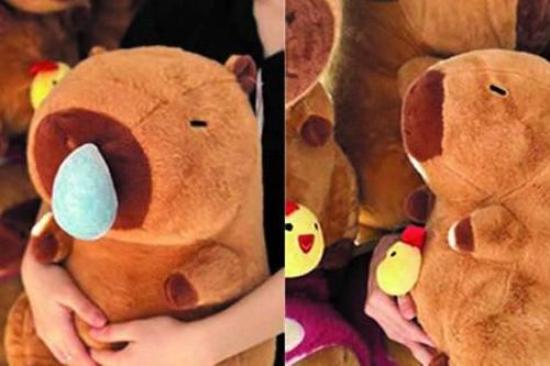 'Cơn sốt' mang tên Capybara 'đốn tim' giới trẻ