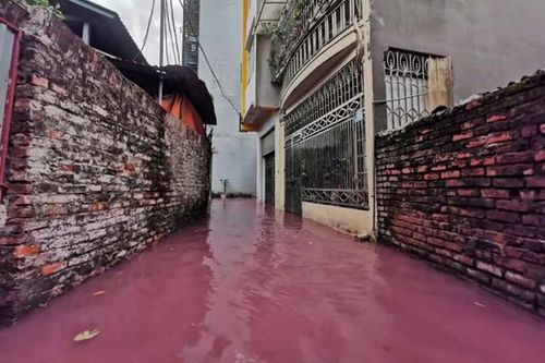Hà Nội: Công an vào cuộc vụ nước ngập khu tập thể Phú Minh có màu đỏ