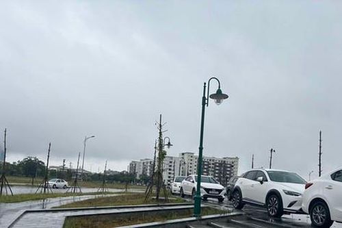 Người dân Huế di chuyển hàng loạt ô tô lên chỗ cao tránh mưa bão