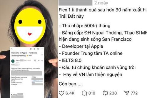 Cô gái Việt từng làm cho Apple, thu nhập nửa tỷ đồng bị cộng đồng mạng check VAR tố 'phông bạt'