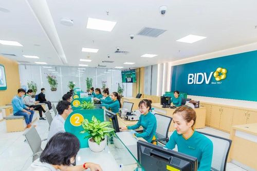 VCBS: BIDV đã dùng 8.600 tỷ đồng để xóa nợ, chịu áp lực NIM lớn khi phải giảm lãi suất