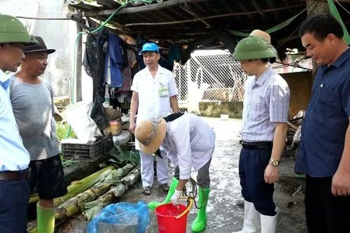 Thanh Hóa phòng chống dịch sau lũ và ứng phó với áp thấp nhiệt đới có khả năng mạnh lên thành bão