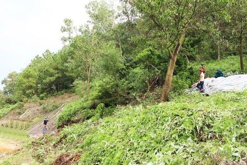 Bắc Giang: Công bố tình huống khẩn sự cố sạt lở núi liên quan đến công trình quốc phòng