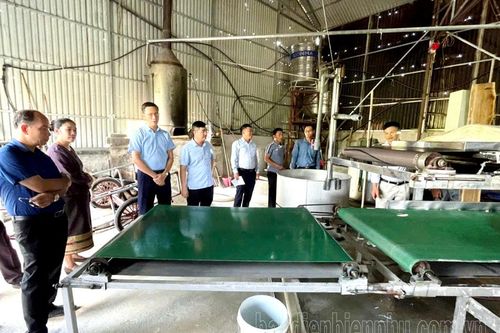 Đoàn đại biểu UBKT Đảng - Thanh tra 3 tỉnh Phoong Sa Ly, U Đôm Xay và Luông Pha Bang tham quan mô hình kinh tế tại huyện Điện Biên
