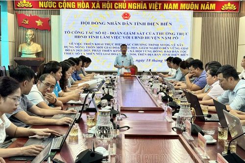Thường trực HĐND tỉnh giám sát việc thực hiện các chương trình MTQG tại huyện Nậm Pồ