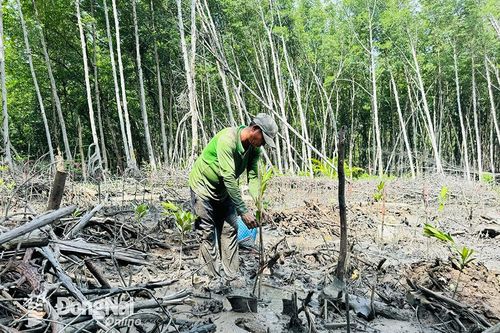 Chung tay Vì một Việt Nam xanh