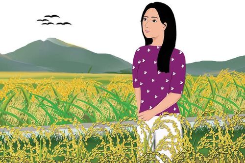 Nhớ những mùa vàng