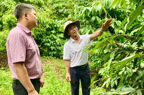 Những tỷ phú 'chân đất' ở Ia Tô