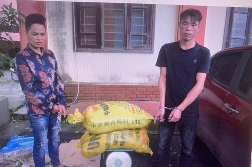 Lộc Bình: Khởi tố hai thanh niên lợi dụng mưa bão để trộm cắp tài sản