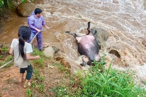 Nỗ lực tìm kiếm 22 người còn mất tích do mưa lũ