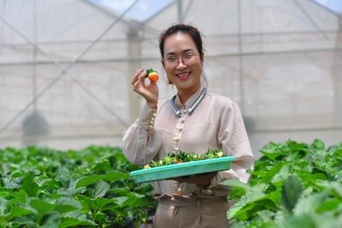 Lâm Đồng với tiến trình 'chuyển đổi xanh' (Bài 3)