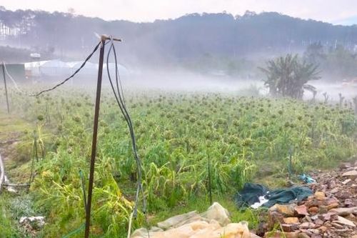 Dự báo mưa lớn kéo dài, UBND tỉnh chỉ đạo chủ động phòng ngừa, ứng phó với sạt lở đất, ngập lụt