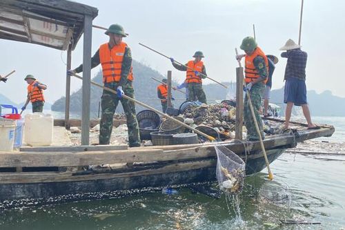 Quảng Ninh: Quyết liệt và kịp thời khắc phục thiệt hại sau bão số 3