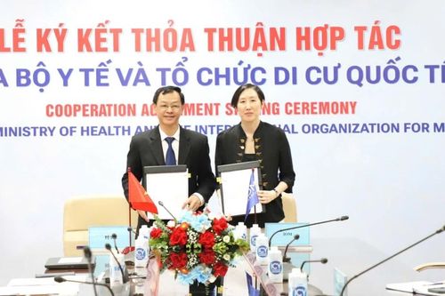 Hợp tác nâng cao sức khỏe và chất lượng cuộc sống cho người di cư