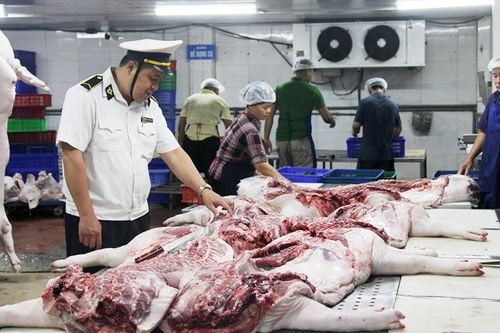 Vì sao HTX chưa mặn mà đầu tư cơ sở giết mổ tập trung?