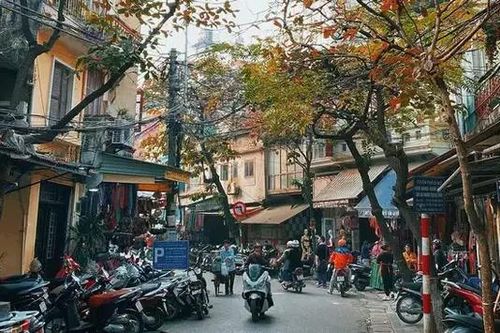 Lang thang phố