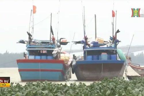 Kêu gọi tàu thuyền vào nơi tránh trú an toàn