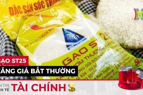 Bản tin Kinh tế Tài chính | 18/09/2024