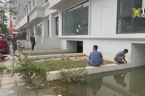 Đưa tình trạng ngập úng vào tiêu chí xác định giá đất
