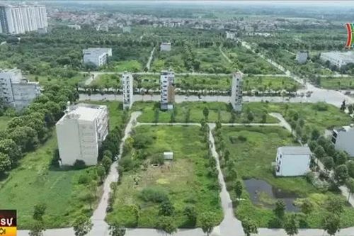 Thao túng thị trường nhìn từ chuyện bỏ cọc ở Thanh Oai