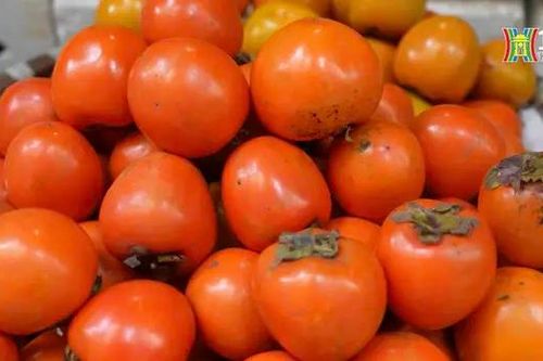 Hồng gọi thu về