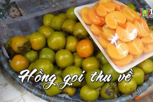 Hồng gọi thu về | Nhịp sống Hà Nội | 18/09/2024