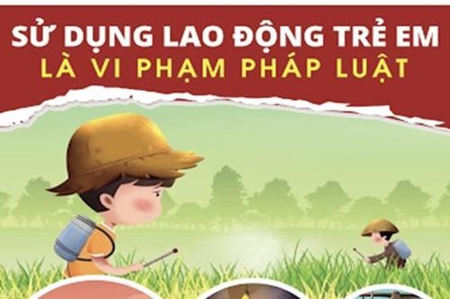Phát triển bộ công cụ rà soát lao động trẻ em ở Việt Nam