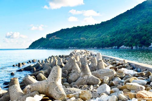 Kêu gọi đầu tư những dự án trọng điểm