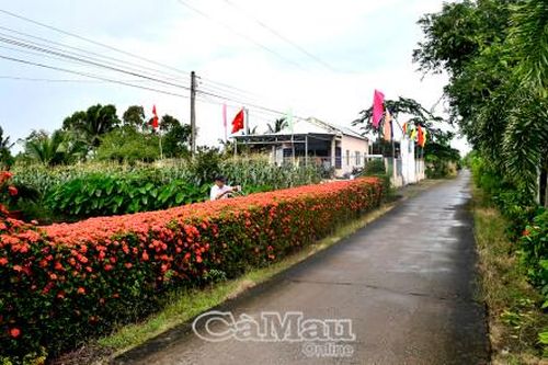 Nhà văn hóa ấp xanh, sạch, đẹp