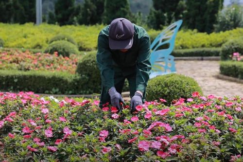 Du khách bất ngờ trước tốc độ phục hồi của du lịch Sa Pa