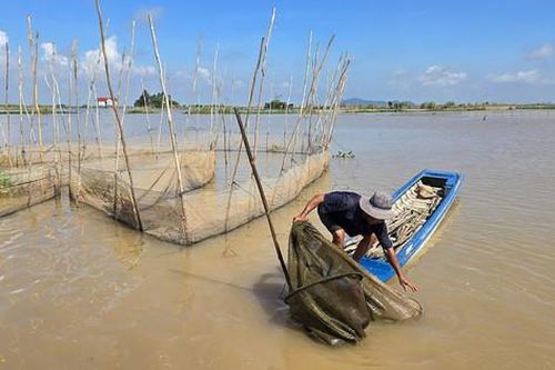 Mực nước sông phía Nam tỉnh Đồng Tháp đang lên nhanh, đỉnh lũ có thể cao hơn năm 2023 đến 0,4m