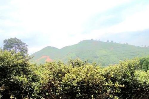 Cận cảnh nơi định cư mới của bà con Làng Nủ