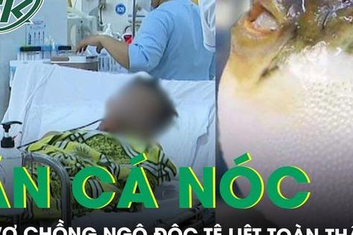 Ăn cá nóc 2 vợ chồng ngộ độc, tê liệt toàn thân
