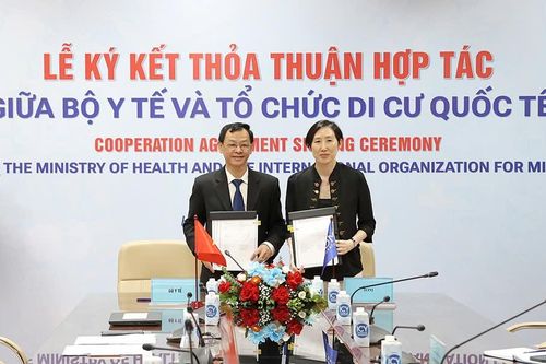 Bộ Y tế và Tổ chức Di cư Quốc tế tiếp tục tăng cường hợp tác nâng cao sức khỏe người di cư